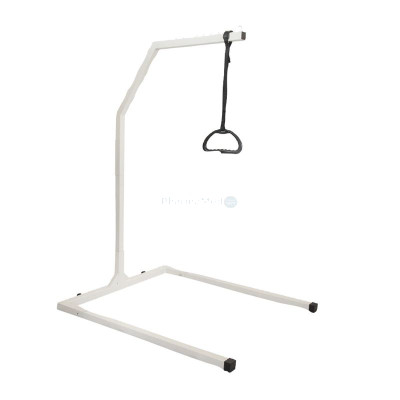 Perroquet sur pied 136 kg  - 1pc