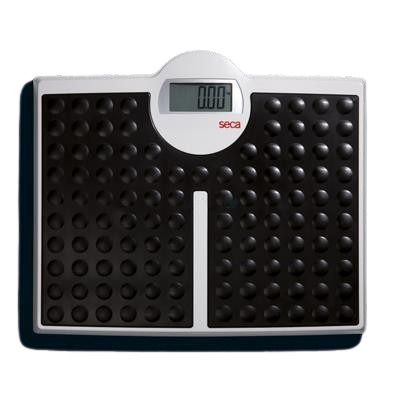 Balance SECA ROBUSTA 813 - 1pc