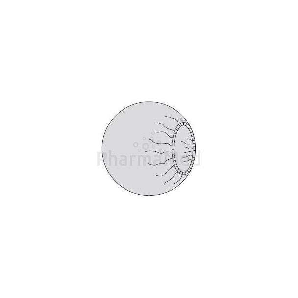 Charlotte pour ampli ronde 75cm - 2x18pcs